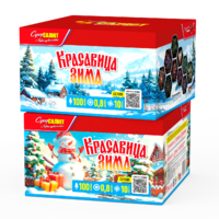 Батарея салюта Красавица зима (100 залпов)  цена за 1 шт - boom96.ru