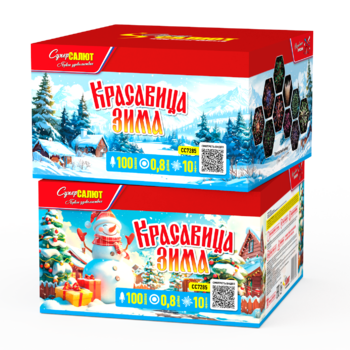 Батарея салюта Красавица зима (100 залпов)  цена за 1 шт - boom96.ru